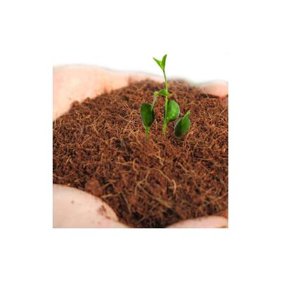 Подложка из кокосового волокна Komodo Tropical Terrain Brick 4л (46000) для террариума