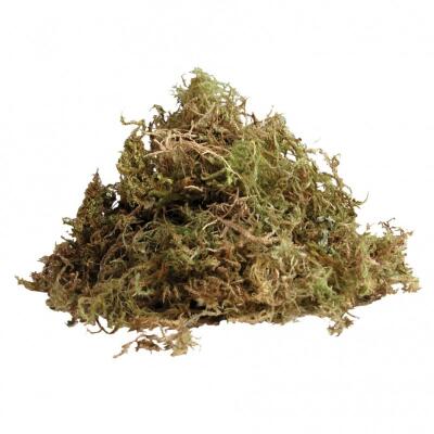 Живой мох Komodo Habitat Moss 1,5 л для террариума, амфибий и рептилий (83003)