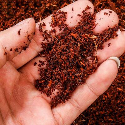 Тропический субстрат Komodo Tropical Terrain 6 л (U46015) для террариумов с высокой влажностью