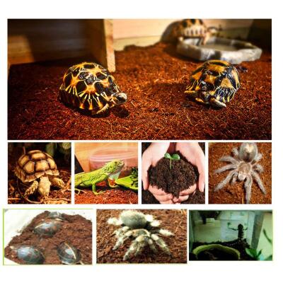 Тропический субстрат Komodo Tropical Terrain 6 л (U46015) для террариумов с высокой влажностью