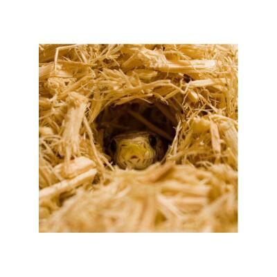 Субстрат из осинового дерева Komodo Aspen Bedding 6л (U46035) для змей, рептилий и грызунов