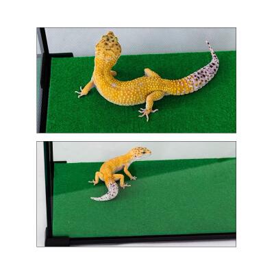 Килимок-субстрат Repti-Zoo Carpet Mat 50x30 см (EC07) для тераріуму, пустельних і тропічних рептилій