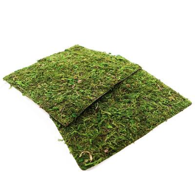 Фон з натурального моху Repti-Zoo Natural Moss Back & Bottom 20×20см 2 шт (NCM2020) для тераріуму