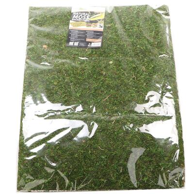 Фон з натурального моху Repti-Zoo Natural Moss Back & Bottom 20x30см 2 шт (NCM3020) для тераріуму