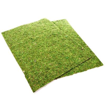 Фон з натурального моху Repti-Zoo Natural Moss Back & Bottom 20x30см 2 шт (NCM3020) для тераріуму
