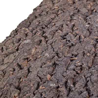 Фон з кори Repti-Zoo Big Tree Background 30х30 см (NCT10) для тераріуму