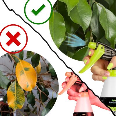 Обприскувач ручний Terrario Troppi Sprayer 750мл