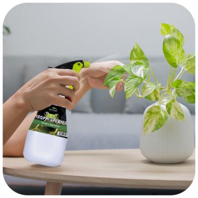 Обприскувач ручний Terrario Troppi Sprayer 500мл