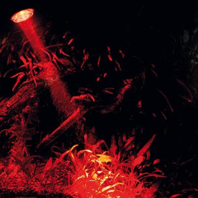 Розпилювач з LED освітленням Hobby Bubble Air Spot colour & moon (00677)