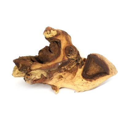 Коряга мопані Hobby Mopani XS 10-15см (40690)