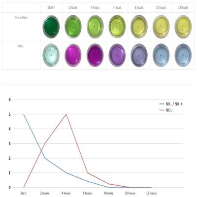 Наповнювач для біофільтрації зі зниженням pH Aquario Neo Media Soft Mini 1л