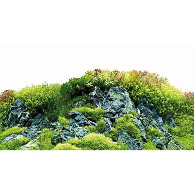 Задній фон Hobby Scaping Hill / Scaping Forest 120x50см (31032)