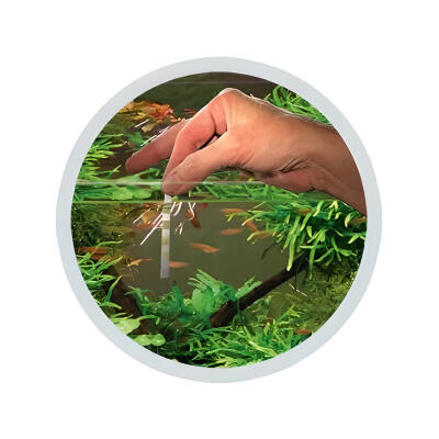 Тест-смужки для акваріумів і ставків Easy-Life 6in1 test strips 50 тестів (TST61)