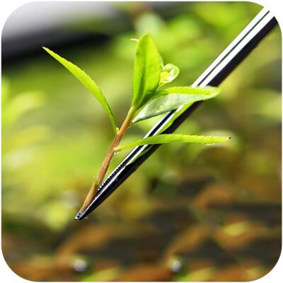 Пинцет прямой Aquapro 25см