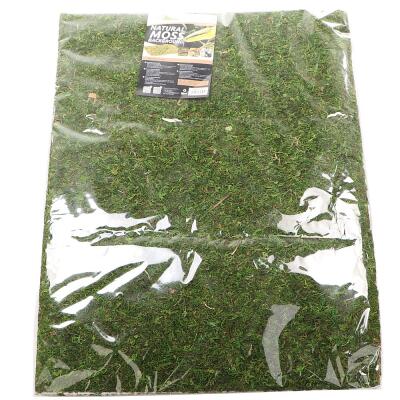 Фон из натурального мха Repti-Zoo Natural Moss Back & Bottom 50x25см 2 шт (NCM5025) для террариума