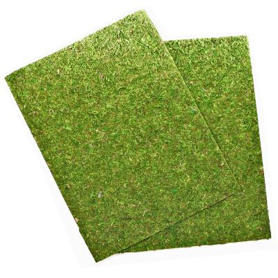 Фон из натурального мха Repti-Zoo Natural Moss Back & Bottom 50x25см 2 шт (NCM5025) для террариума