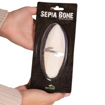 Сепія для черепах, природний вапняк для рептилій Terrario Sepia Bone 10-15см