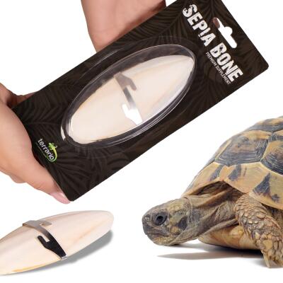 Сепія для черепах, природний вапняк для рептилій Terrario Sepia Bone 10-15см