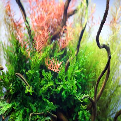 Железо в таблетках Aquario Neo Tabs Plant Fe