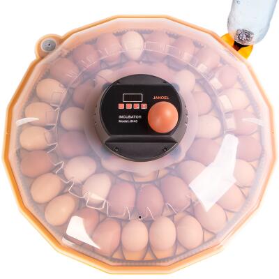 Инкубатор с терсомтатом и автоматическим переворачиванием Janoel N48