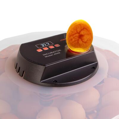 Инкубатор с терсомтатом и автоматическим переворачиванием Janoel N48