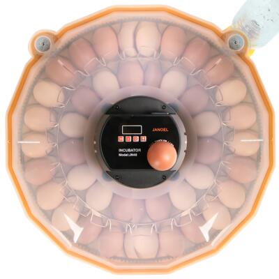 Инкубатор с терсомтатом и автоматическим переворачиванием Janoel N48