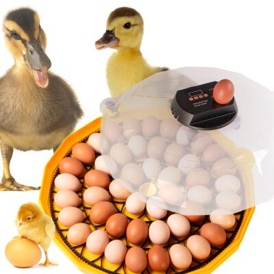 Инкубатор с терсомтатом и автоматическим переворачиванием Janoel N48