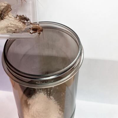 Витаминизатор для насекомых Hobby Cricket Vitamizer (38090)