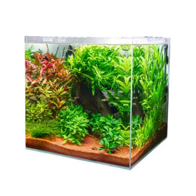 Аквариум из ультрабелого стекла Dupla Scaping Cube 30 30x30x35см (80891)