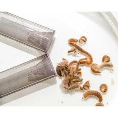 Пастка для багатощетинкових черв'які Dupla Worm X (81595)