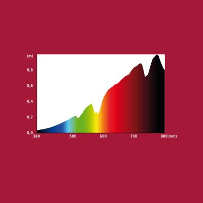 Лампа точкового нагріву Hobby Sunlight Eco 108 W (37546)