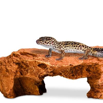 Декорація криївка Terrario Mountain Shelf M 22x17x8,5см (23188)