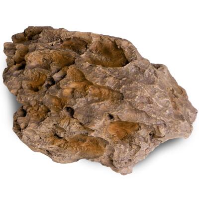 Декорація укриття Terrario Dragon Stone M 22x15x8см (23149)