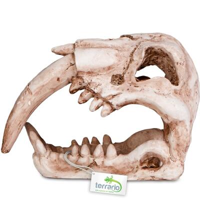 Декорація череп тигра Terrario Sabertooth Skull 13x8,5x11см (15911)