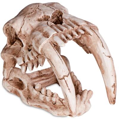 Декорація череп тигра Terrario Sabertooth Skull 13x8,5x11см (15911)