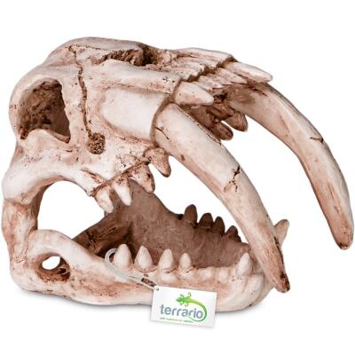 Декорація череп тигра Terrario Sabertooth Skull 13x8,5x11см (15911)