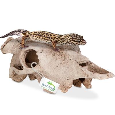 Декорация черепа буйвола Terrario Buffalo Skull 21x12x8см (22128)