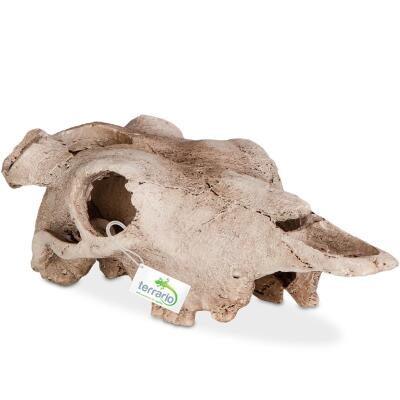Декорация черепа буйвола Terrario Buffalo Skull 21x12x8см (22128)