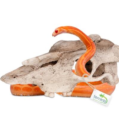 Декорация черепа буйвола Terrario Buffalo Skull 21x12x8см (22128)