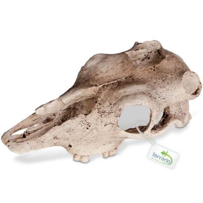Декорация черепа буйвола Terrario Buffalo Skull 21x12x8см (22128)