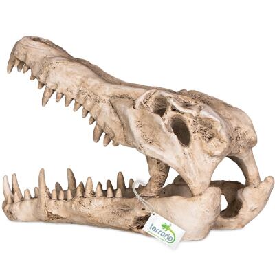 Декорація череп крокодила Terrario Crocodile Skull XL 23x11x16см (251115)