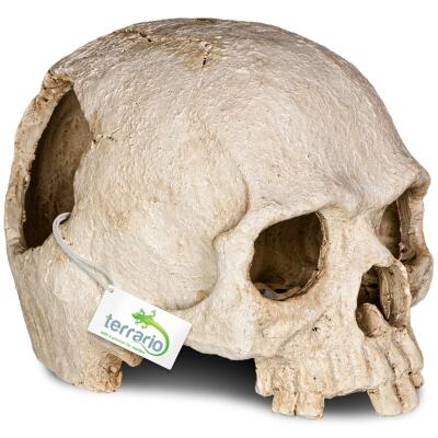 Декорація череп людини Terrario Human Skull 14x11x11см (151211)