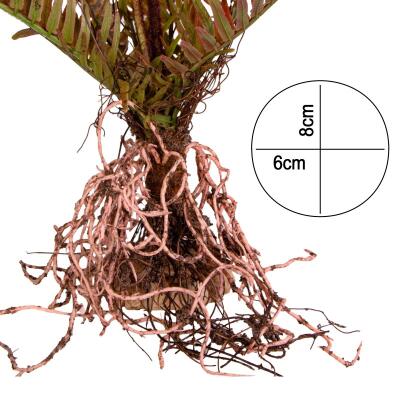 Искусственное растение, папоротник Terrario 40x14x41см (332)