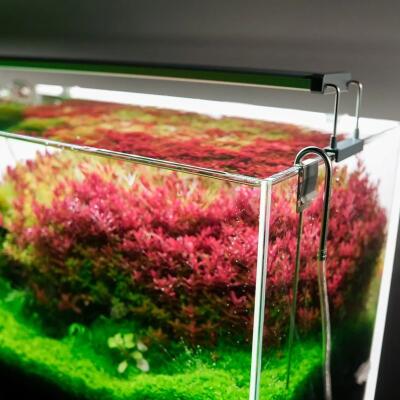 Светильник Chihiros B-Series B120 LED 120-140см разумное RGB-освещение для аквариума