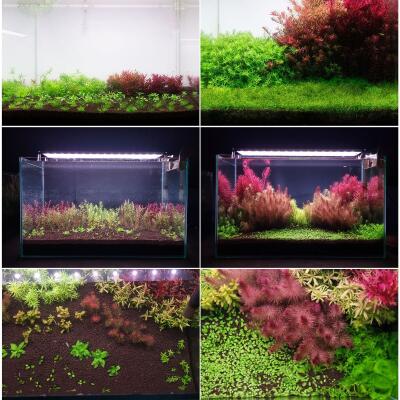 Грунт активный для аквариума Neo Soil Plant No CO2 3л. - без потребности в CO₂, 3л.