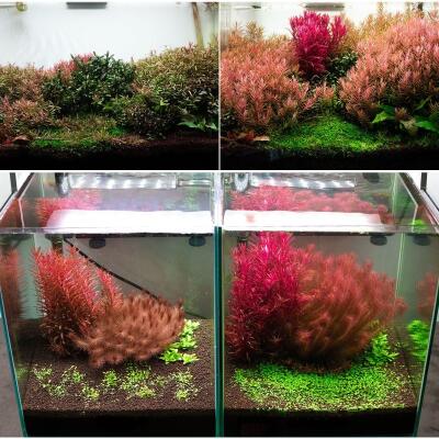 Грунт активный для аквариума Neo Soil Plant No CO2 3л. - без потребности в CO₂, 3л.