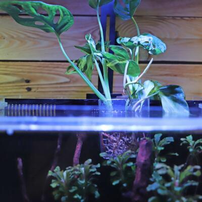 Контейнер для выращивания растений в аквариуме Hobby Plant basket 8×9×8см (61330)