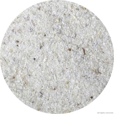 Живий пісок для морського акваріуму Aquaforest AF Bio Sand 10кг 0.5-1.5мм