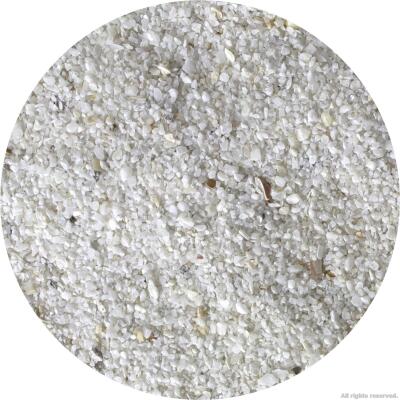 Живий пісок для морського акваріуму Aquaforest AF Bio Sand 10кг 0.5-1.5мм