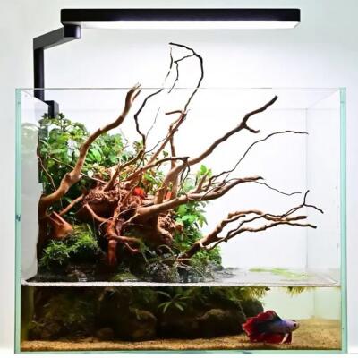 Світлодіодна лампа Chihiros CII LED Light 16W - LED освітлення для нано-акваріумів з Bluetooth керуванням